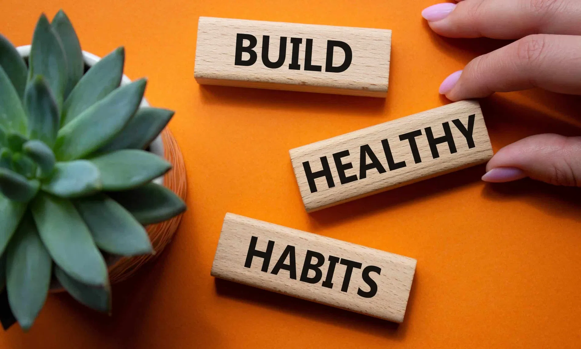 How Small Daily Habits Create Lasting Change